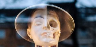 10 der faszinierendsten Fakten über den menschlichen Körper